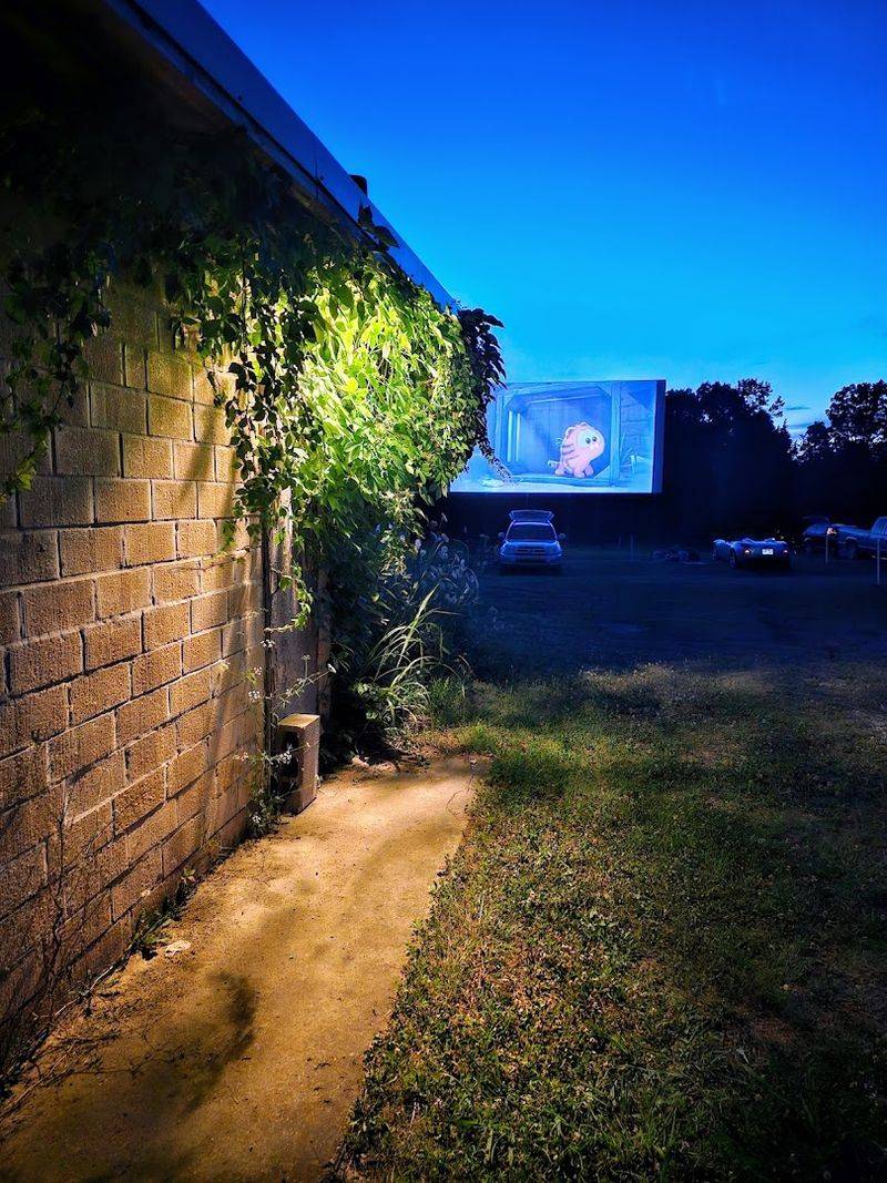 Fireflies Dancing Beyond The Gravel Rows