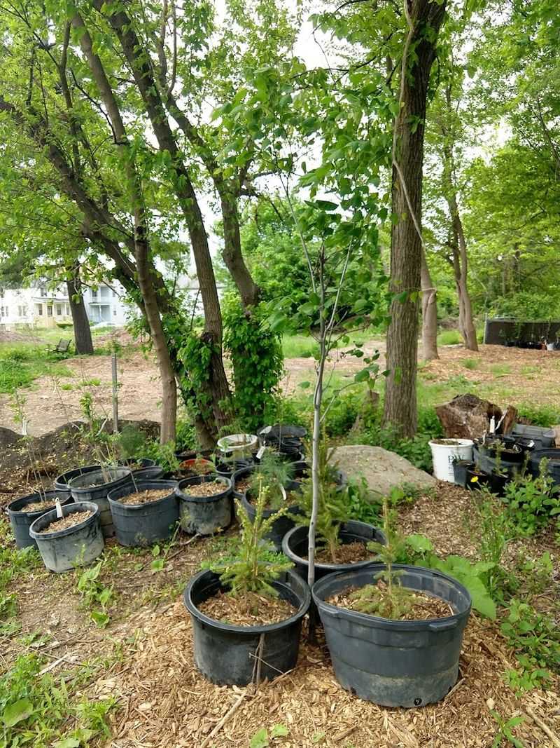 A Living Archive In Poletown East