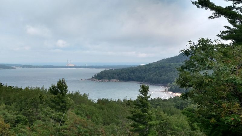 Rugged Shores And Ancient Pines