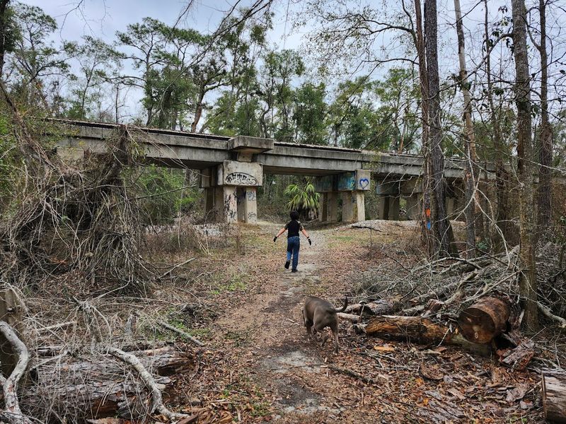 Ruins Of Industry In The Pines