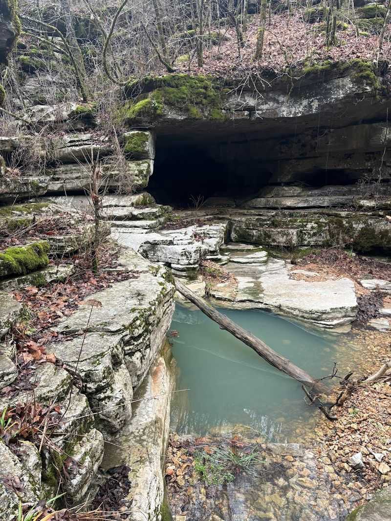 Spring Fed Pools With Unusually Clear Blue Green Depth