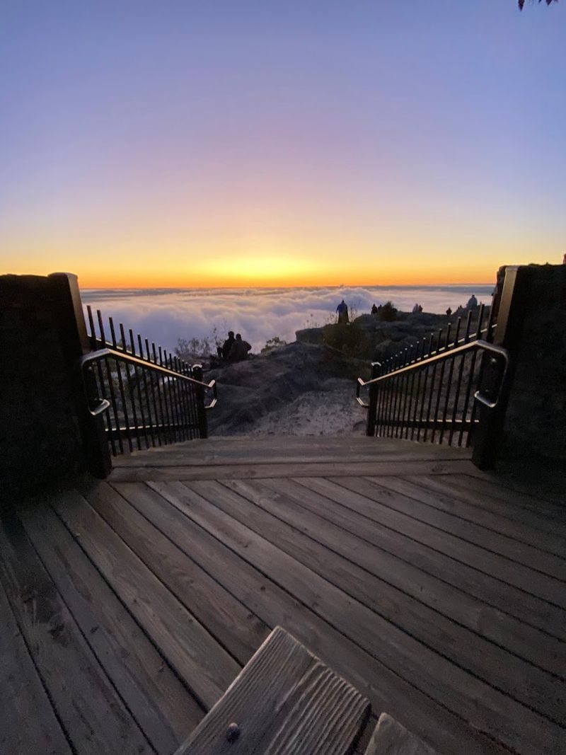 The Trail That Builds Quiet Anticipation