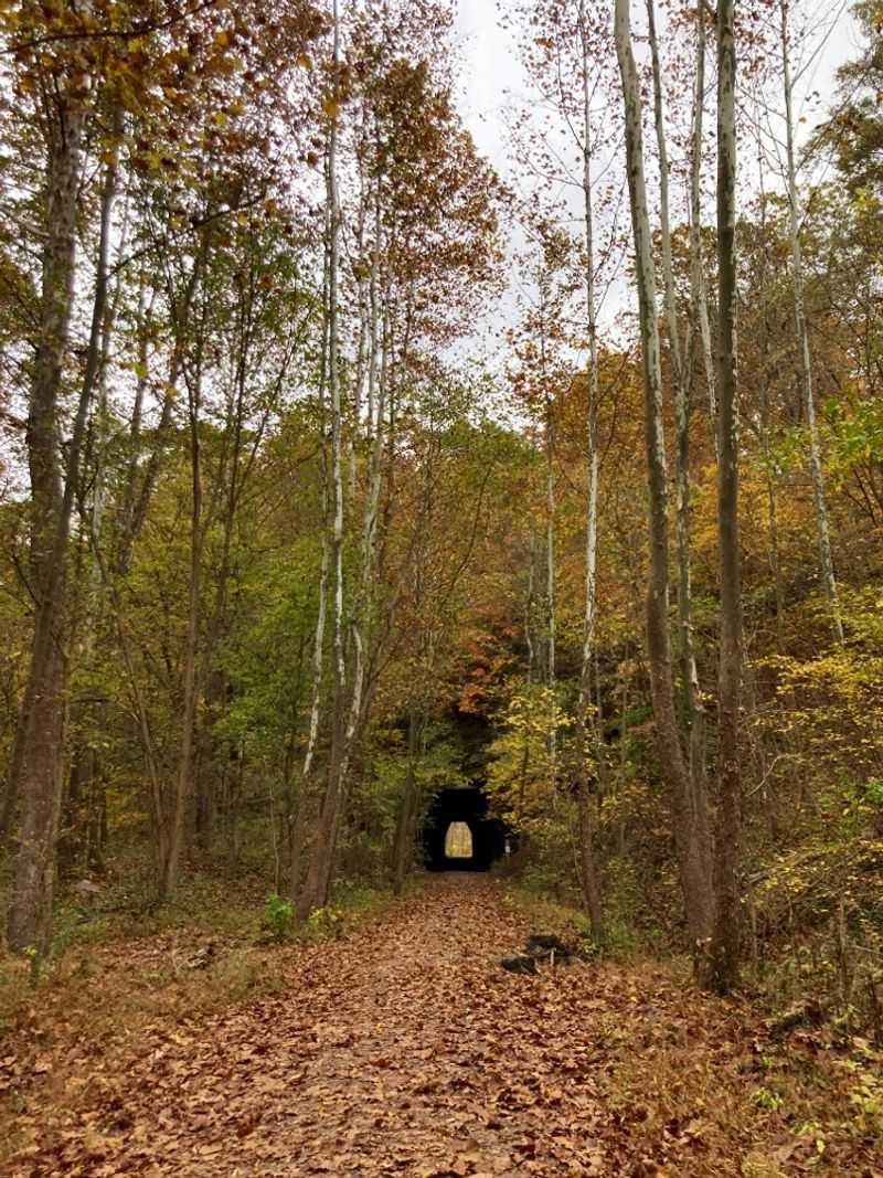 Practical Hours, Costs, And Comfort