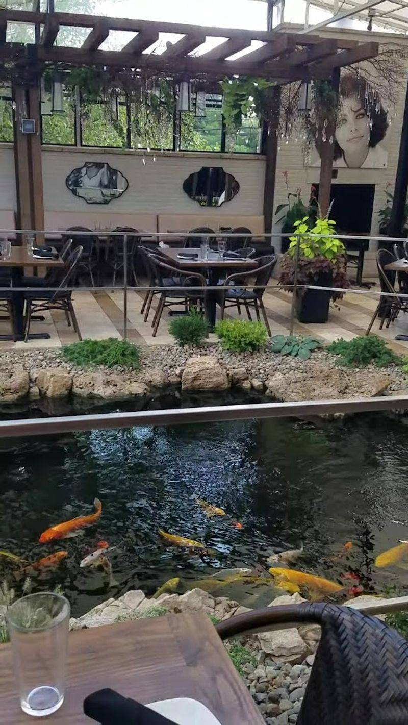 The Story Behind the Name and the Space