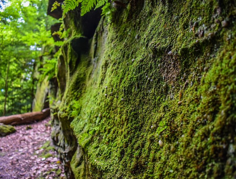 The Ancient Sandstone Ledges Up Close