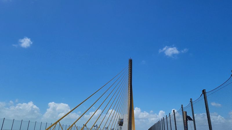 Engineering Drama In Yellow Cables