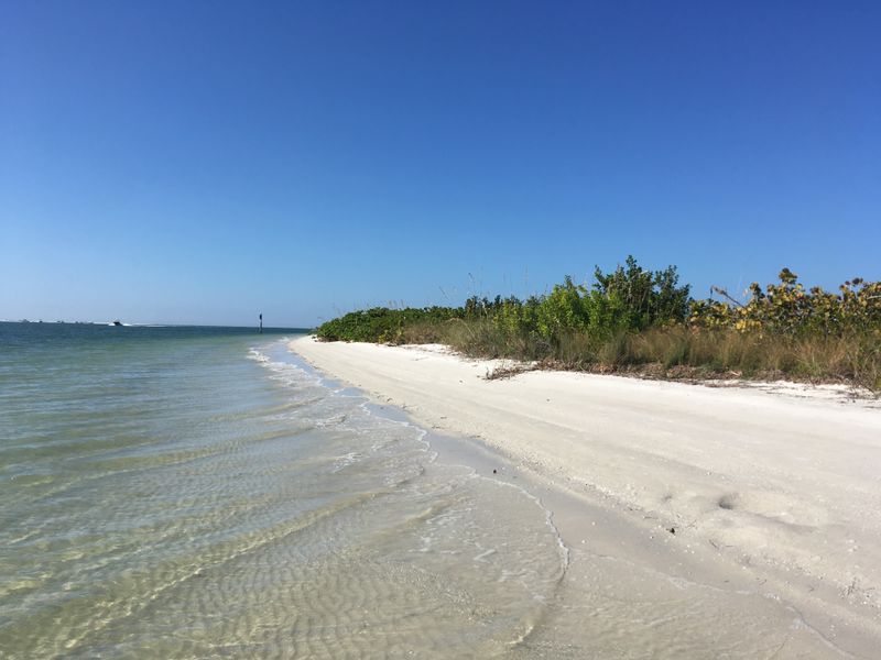 Shelling Like A Pro Without Trying Too Hard