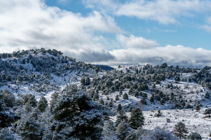 The Winter Landscape Along The Trail Is The Real Attraction