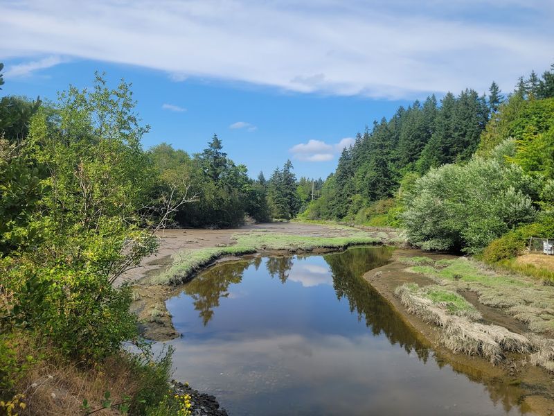 Fish Park: Nature Trails And Salmon Watching Fish Park: Nature Trails And Salmon Watching