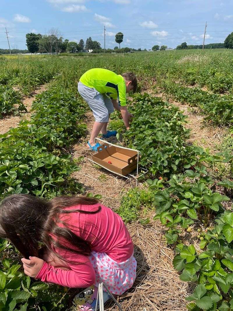 Gladstone Berry Farm, Gladstone