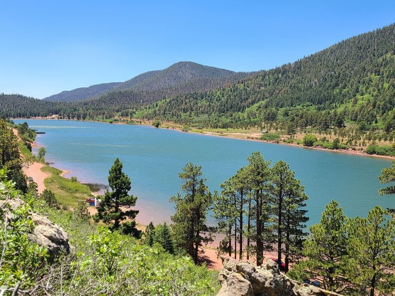 350 Acres Along Highway 12 In Weston