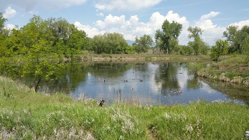 Fishing Access That Families And Seniors Can Actually Use Fishing Access That Families And Seniors Can Actually Use
