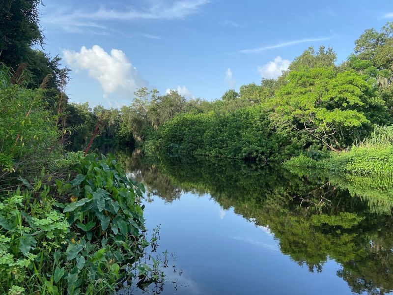 Fishing Along Phillippi Creek Is a Beloved Local Tradition