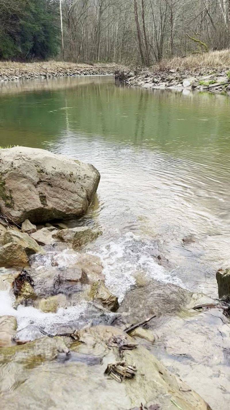 Fishing Along the Banks of Clear Creek