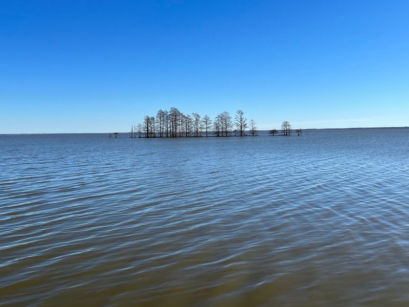 Fishing And Crabbing At The Refuge