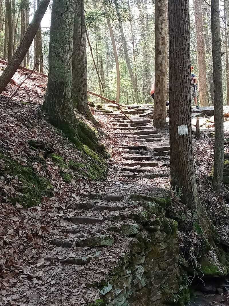 Practical Tips Before You Go