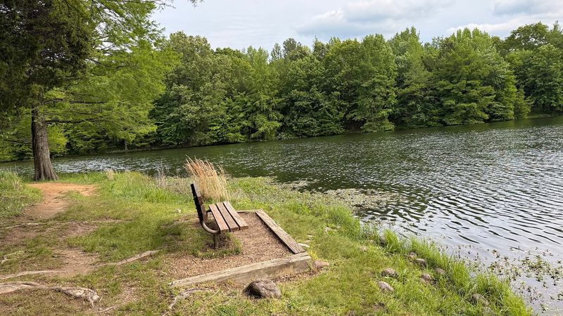 Fishing And Reflecting At The Little Lake