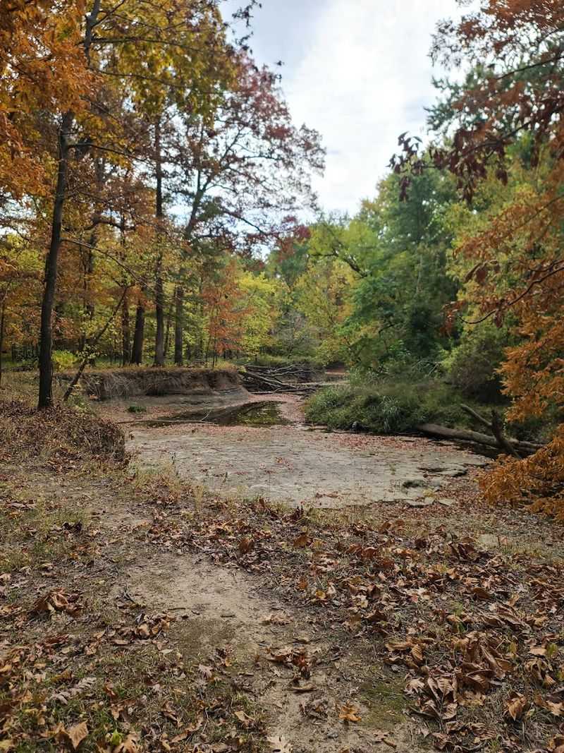 Best Times To Visit The Park