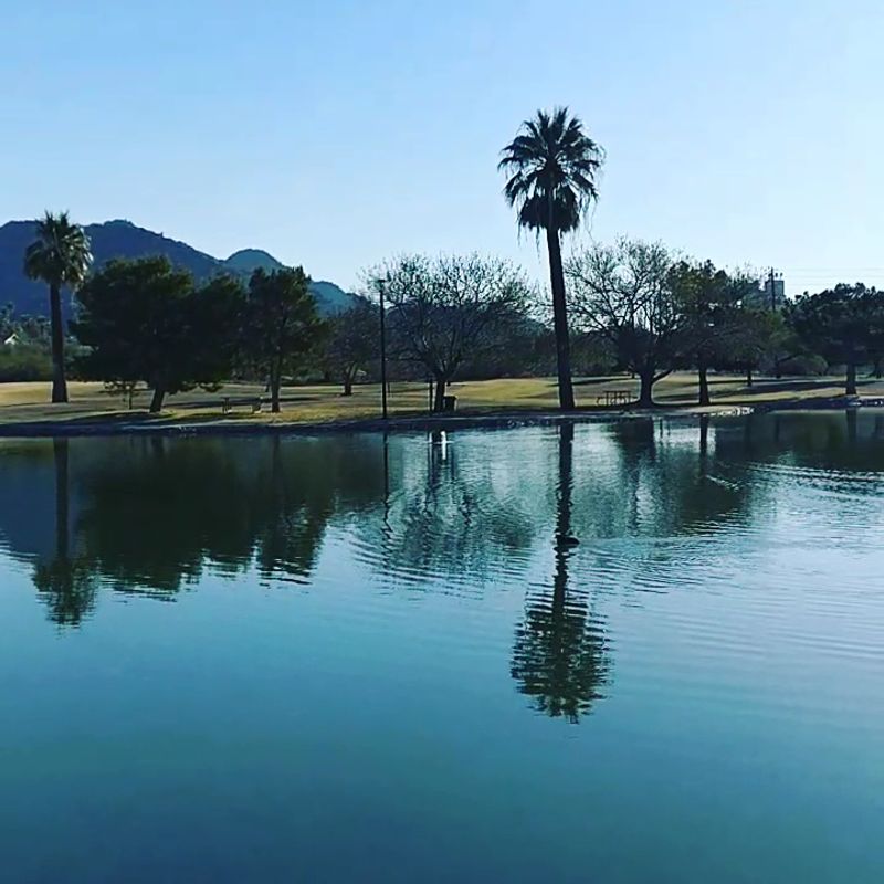 Fishing At The Urban Lagoon