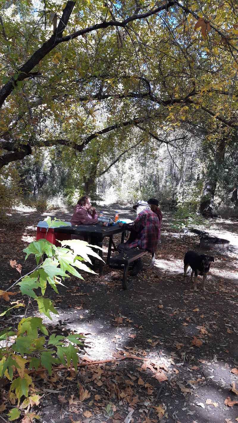 Fishing, Crawfish, And Wildlife Watching