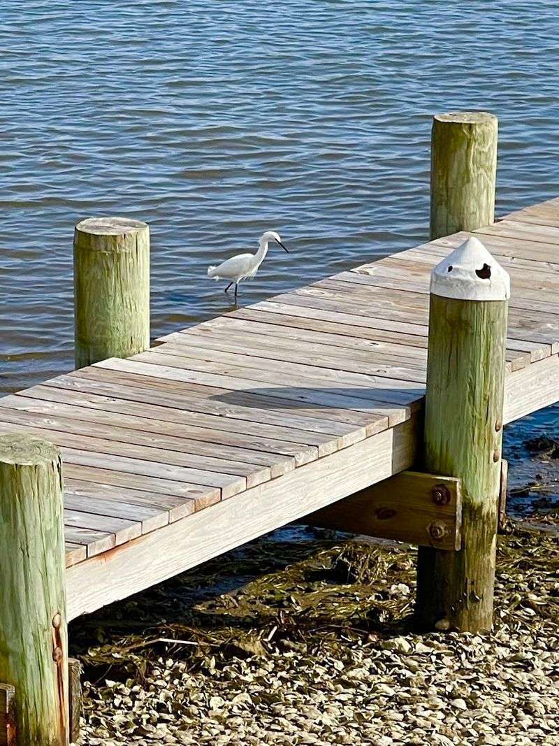 Fishing Culture Runs Deep Along This Coastline