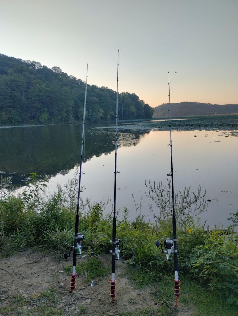 Fishing From Dawn Until The Bugs Win