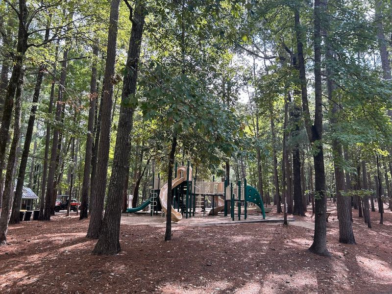 The Trails Through The Pines Are Quiet And Completely Underrated