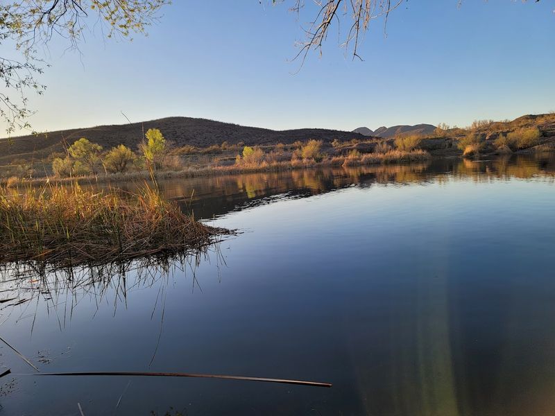 Bird Watching That Rivals The Best Spots In The Southwest
