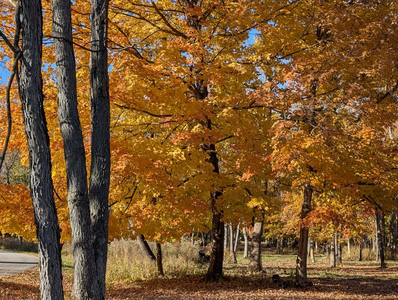 Seasons That Change The Script