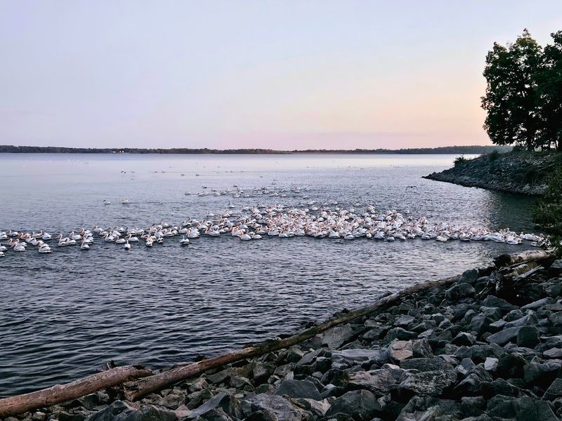 Sailing And Boating Culture