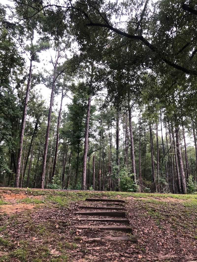 The Hiking Trails Will Surprise You In The Best Way