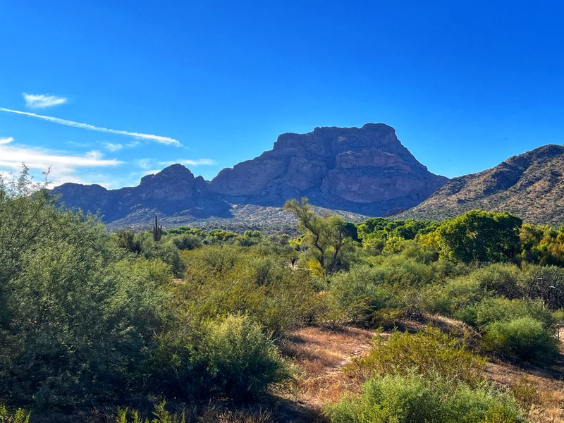 Educational Programs And Volunteer Work