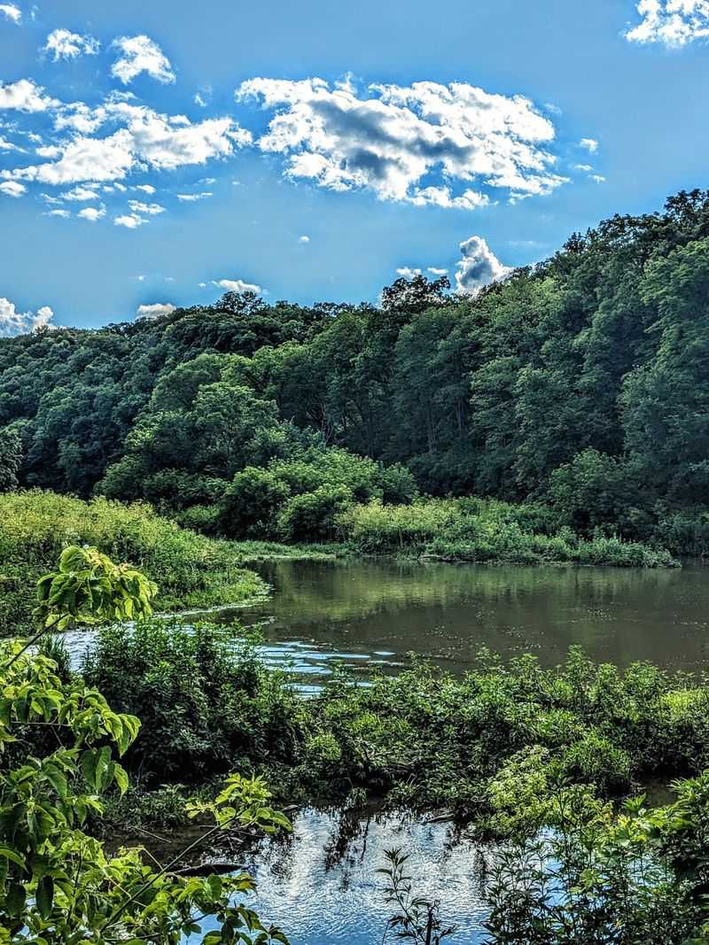 Fishing, Picnics, And Bald Eagle Sightings