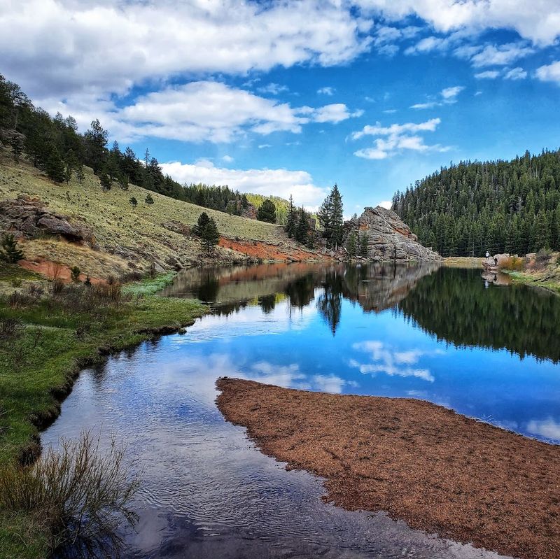 Fishing, Ponds, And The Particular Peace Of Still Water