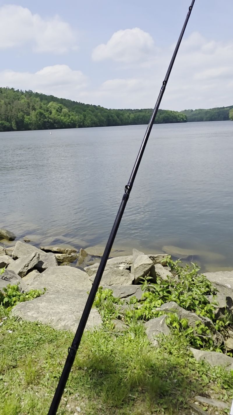 Fishing Spots Worth Bragging About