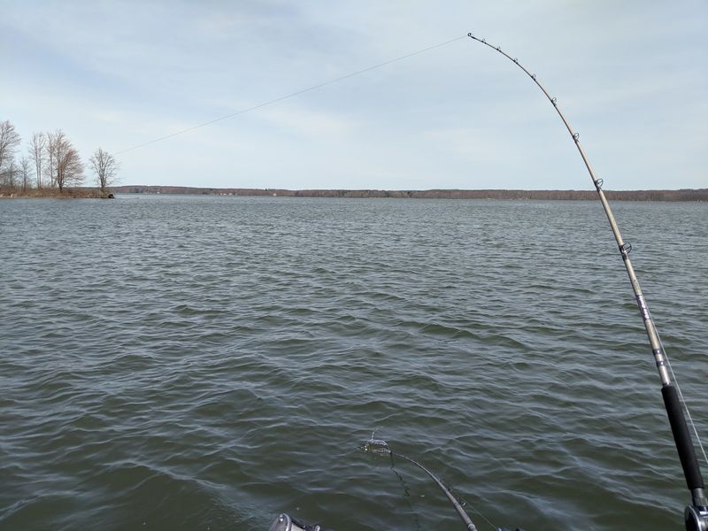 Fishing Stays Excellent Despite The Reptile Rumors