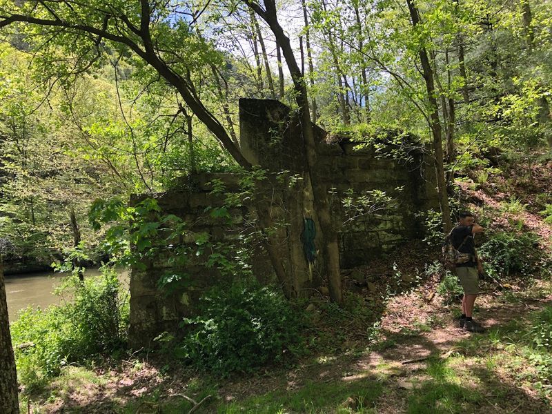 Historical Ruins and Old-Growth Stories