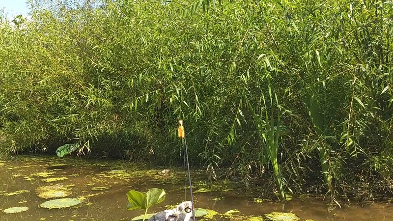 Fishing That Actually Delivers Fishing That Actually Delivers