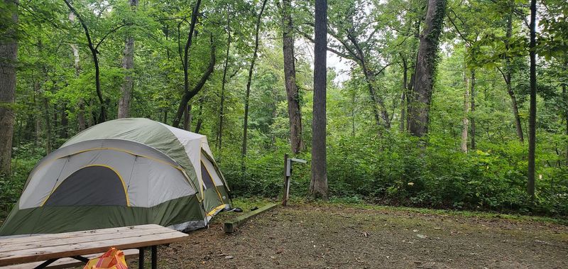 Camping Under Stars You Forgot Existed