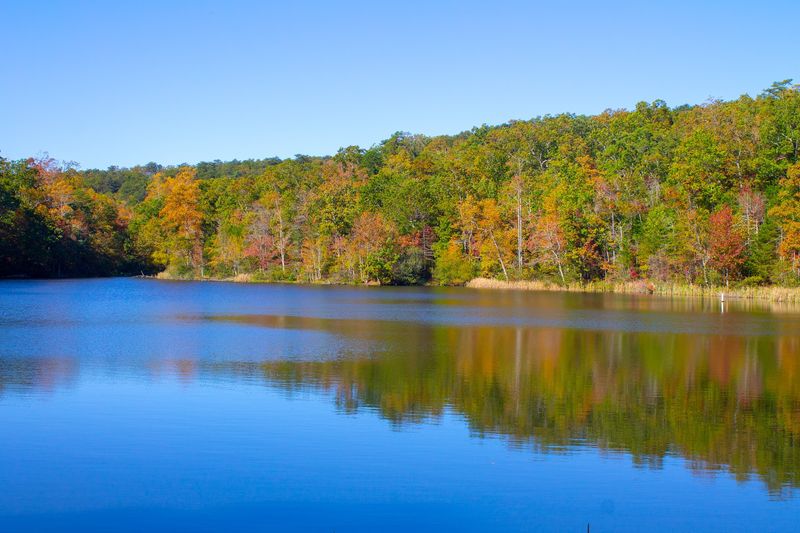 Fishing The Calm Waters Of McKamy Lake