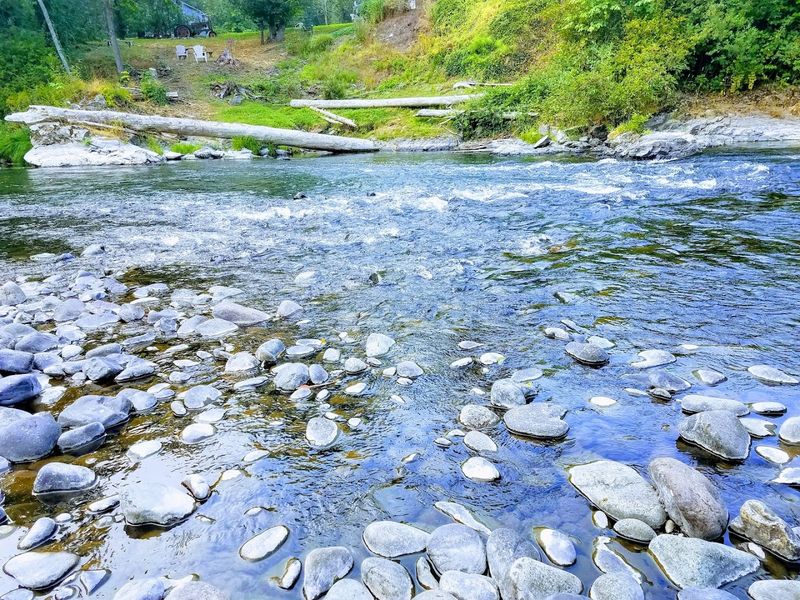 Fishing The Green River For Cutthroat Trout