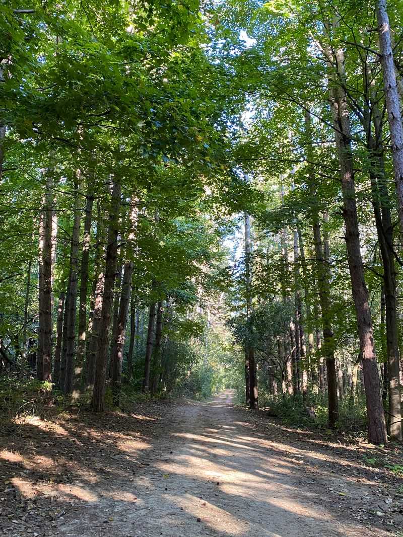 Horseback Connections