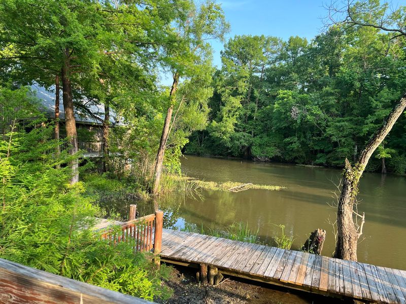 Fishing The Rich Waters Of Lake Fausse Pointe