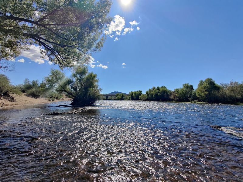 Fishing The Salt River's Scenic Stretch Fishing The Salt River's Scenic Stretch