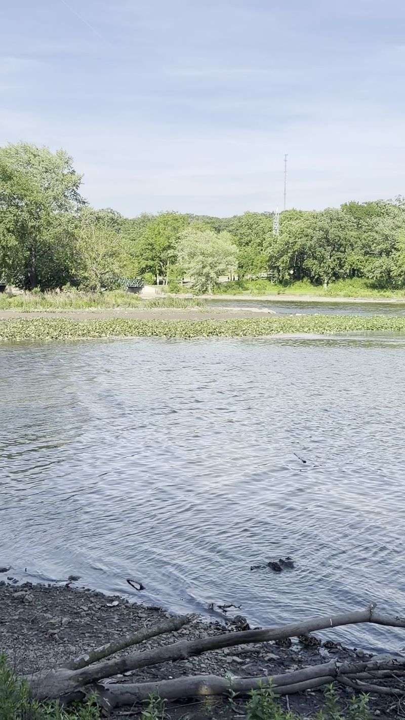 Fishing and Boating on the Fox River