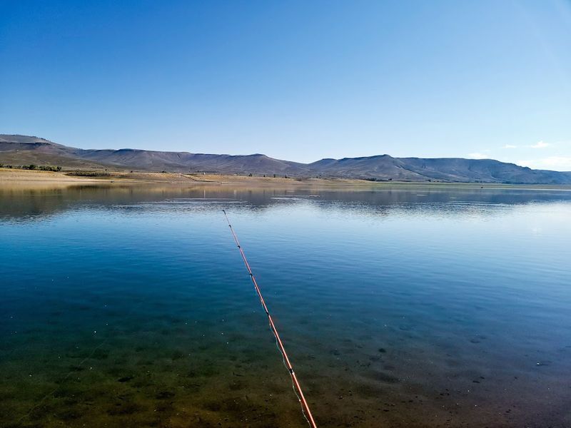 Fishing the Reservoir: Kokanee Salmon and Trophy Trout Fishing the Reservoir: Kokanee Salmon and Trophy Trout
