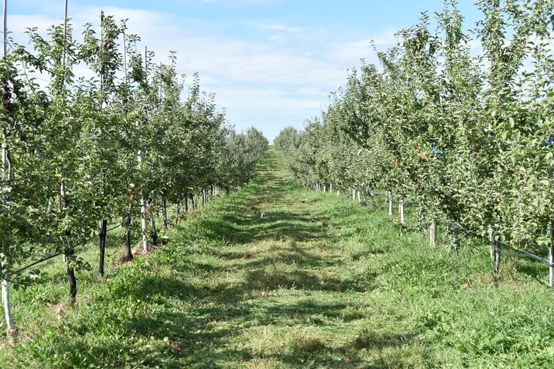 Fishkill Farms Fishkill Farms