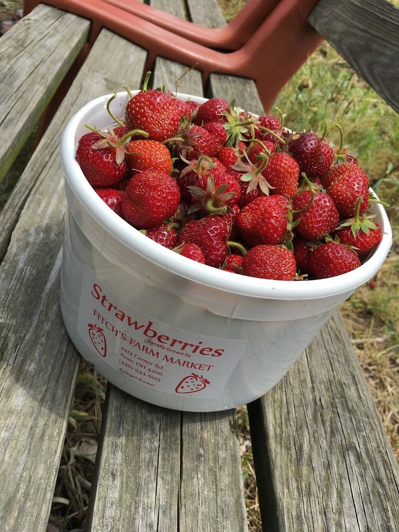 Fitch's Farm Market, Avon