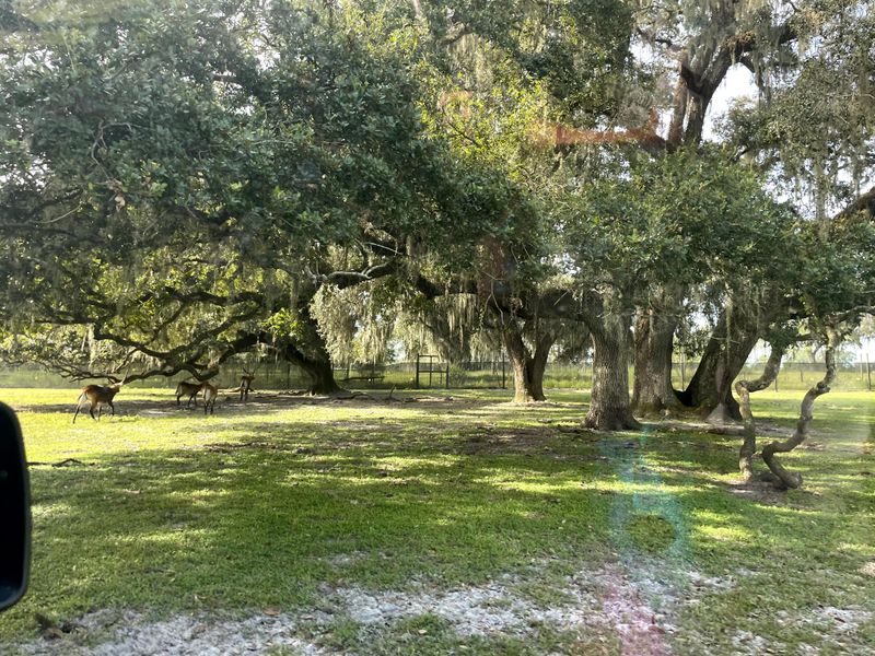 Make It A Quick Plan