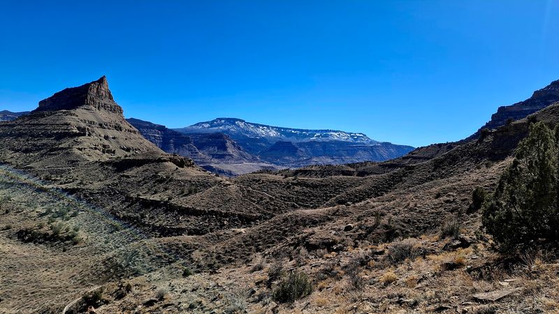 Mini Plan, Maximum Return